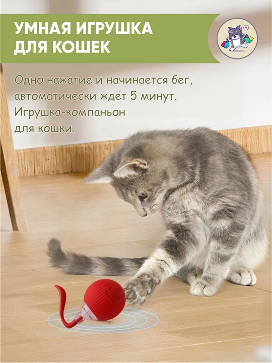 Игрушка для кошек интерактивная, умный мячик с хвостиком, дразнилка для котят