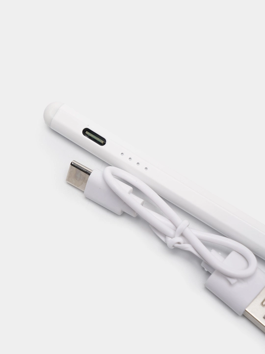 Planshet va smartfon uchun universal stilus, Type-C, 10 soatgacha ishlash