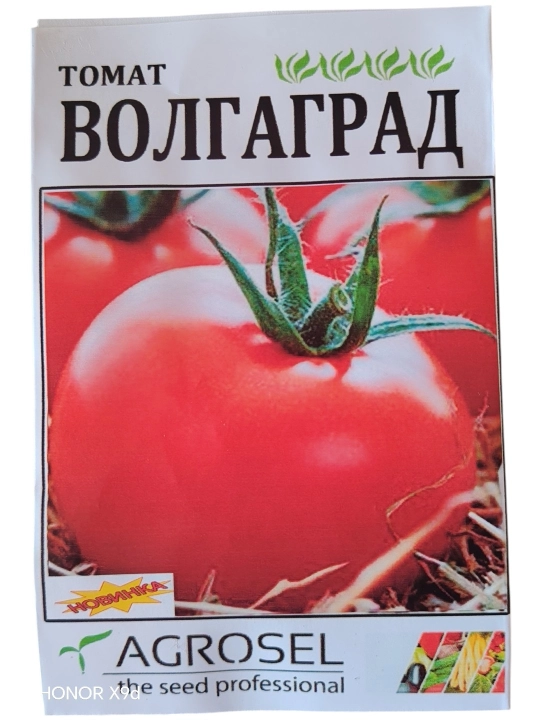 Volgagrad pomidor urug‘i