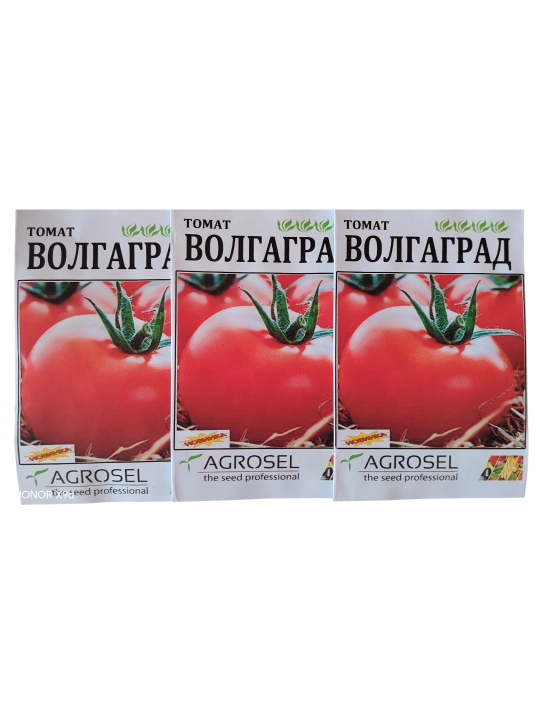 Volgagrad pomidor urug‘i