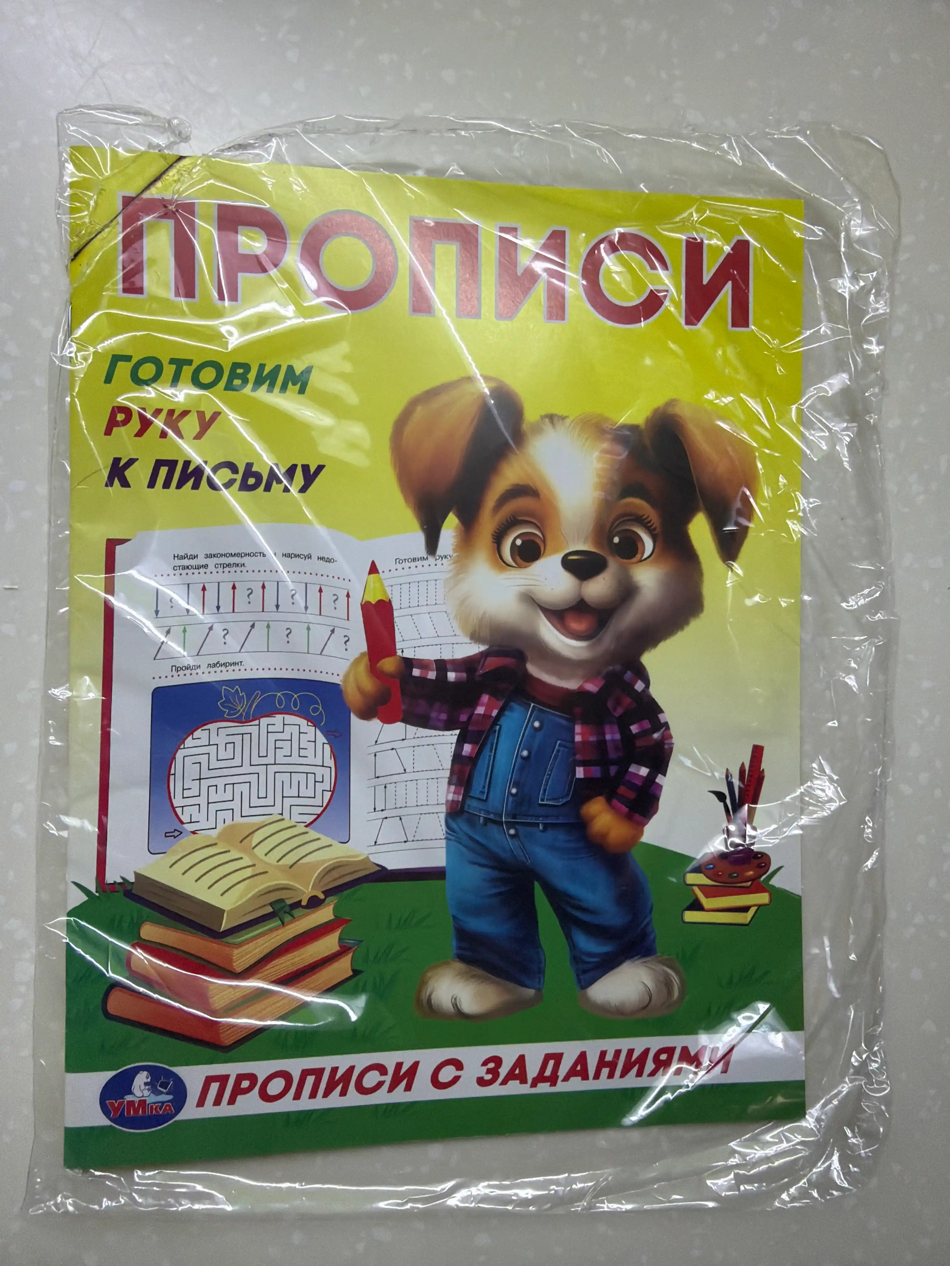 Прописи с заданиями. Учимся писать