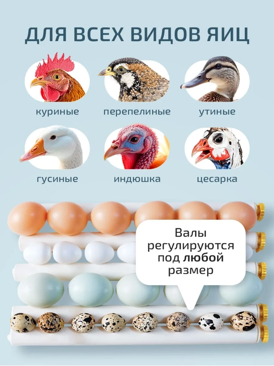 Inkubator, Avtomatik burilishli tuxum inkubatori, termoregulyator,haroratni nazorat qilish