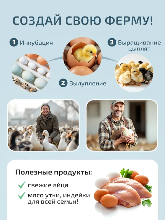 Inkubator, Avtomatik burilishli tuxum inkubatori, termoregulyator,haroratni nazorat qilish