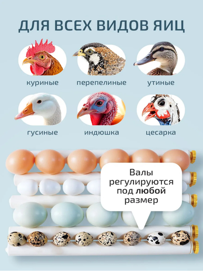 Inkubator, Avtomatik burilishli tuxum inkubatori, termoregulyator,haroratni nazorat qilish