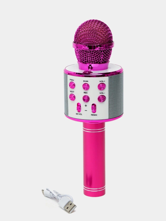 Караоке-микрофон колонка, WSTER WS-858 с колонкой, Bluetooth, портативный, 5Вт, 1800mAh