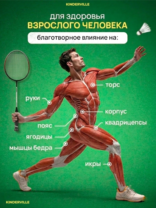 Ракетки для бадминтона и игр в теннис, легкие, 2 шт в чехле