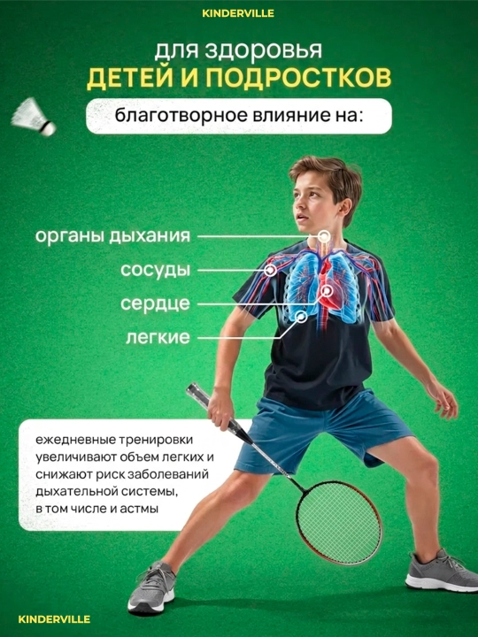 Ракетки для бадминтона и игр в теннис, легкие, 2 шт в чехле