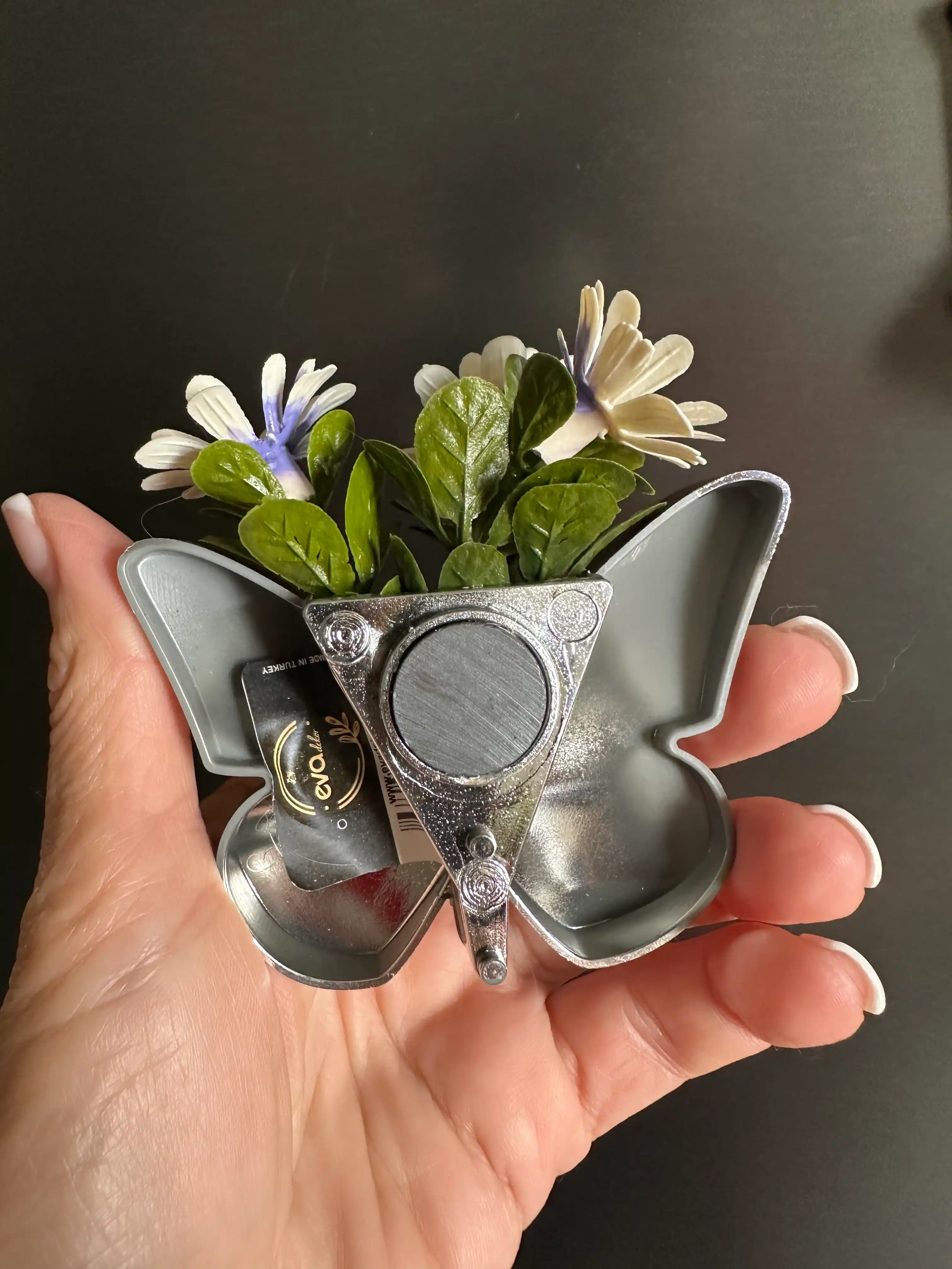 Mini-gullar bilan muzlatgich uchun kaspo magnitlari