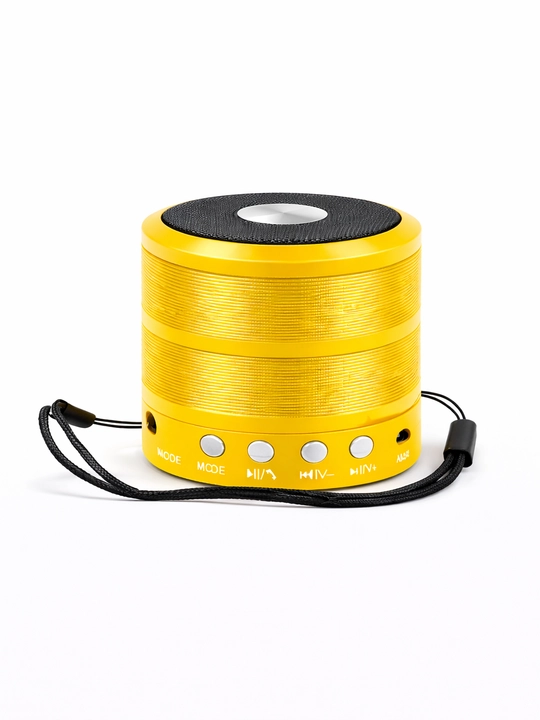 Portativ dinamik mini-kolonka, WS-887 - 