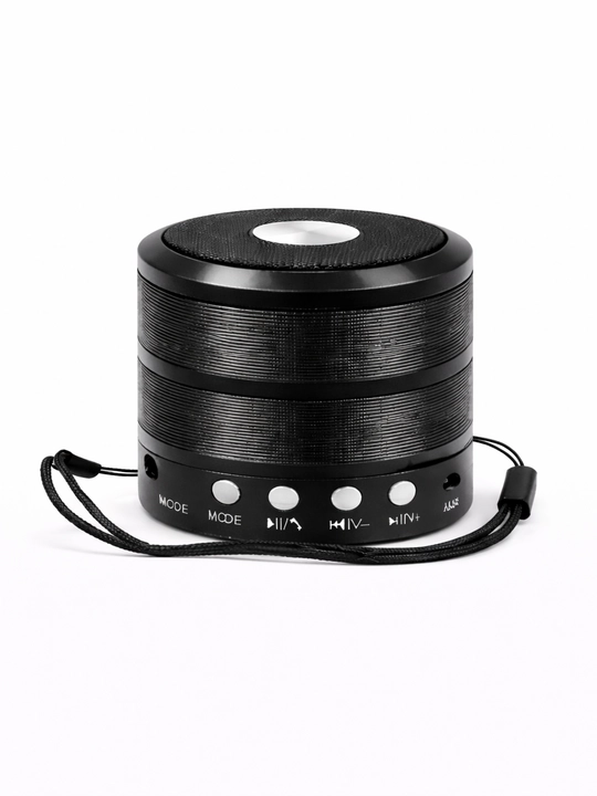 Portativ dinamik mini-kolonka, WS-887 - 