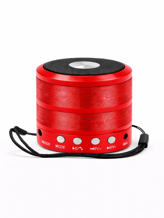 Portativ dinamik mini-kolonka, WS-887 - 