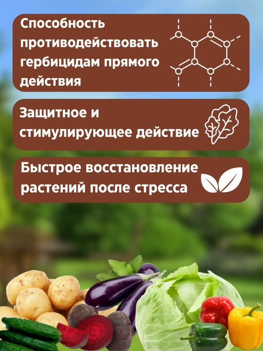 Biolchim FILLOTON biostimulyatori, 1 l