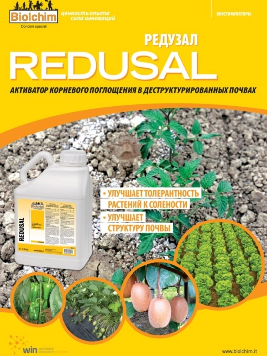 Biolchim o‘g‘iti Redusal SA-00033 suyuqligi 5 l kg - 
