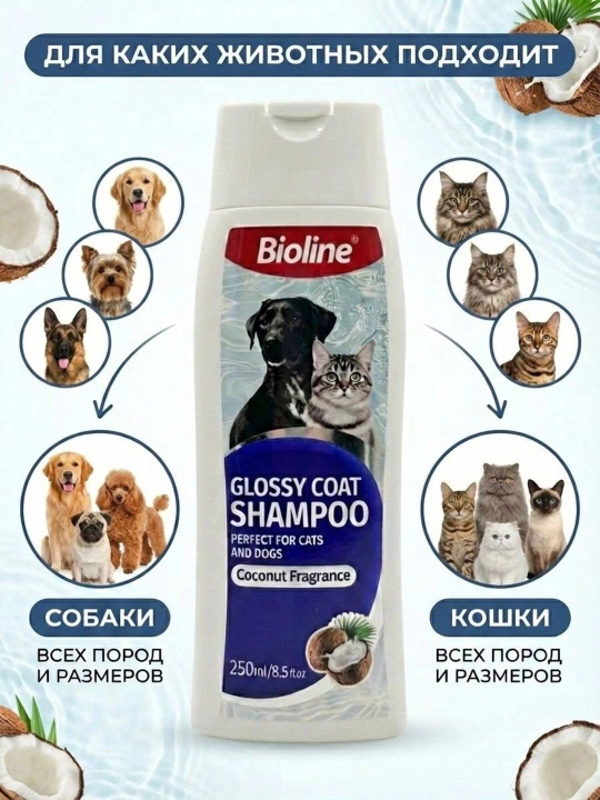 It va mushuklar uchun shampun Bioline Glossy Coat, yaltiroq jun uchun, kokos hidli, 250 ml