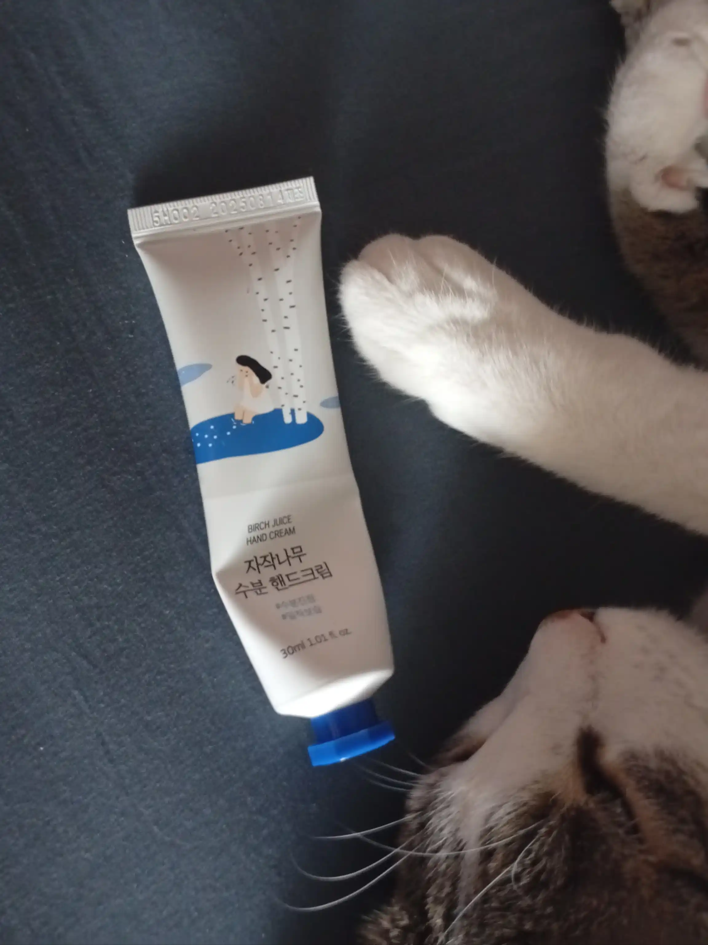 Смягчающий гипоаллергенный крем для рук Round lab Birch Juice Hand Cream