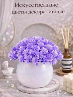Lavanda