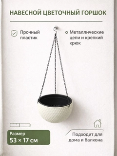 Oqish rang