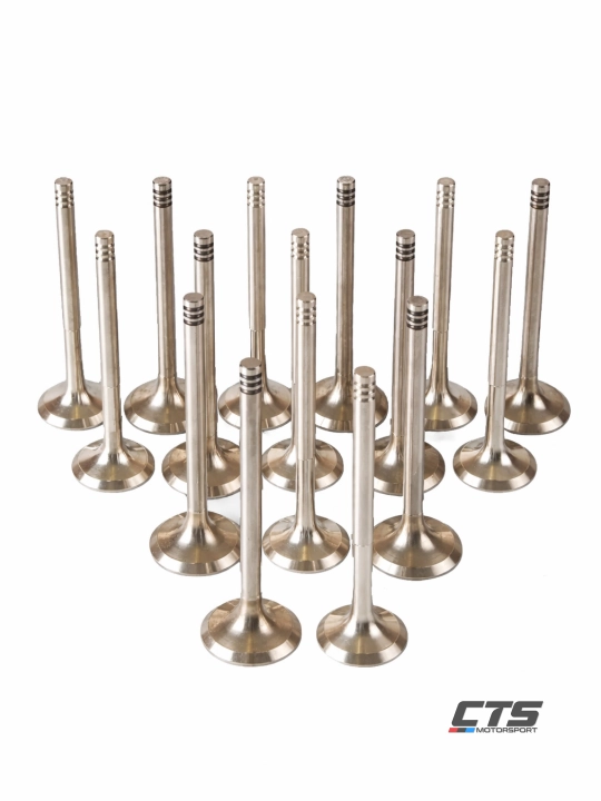 VAZ uchun 32/29 CTS Motorsport sport klapanlari, 16 dona to‘plam