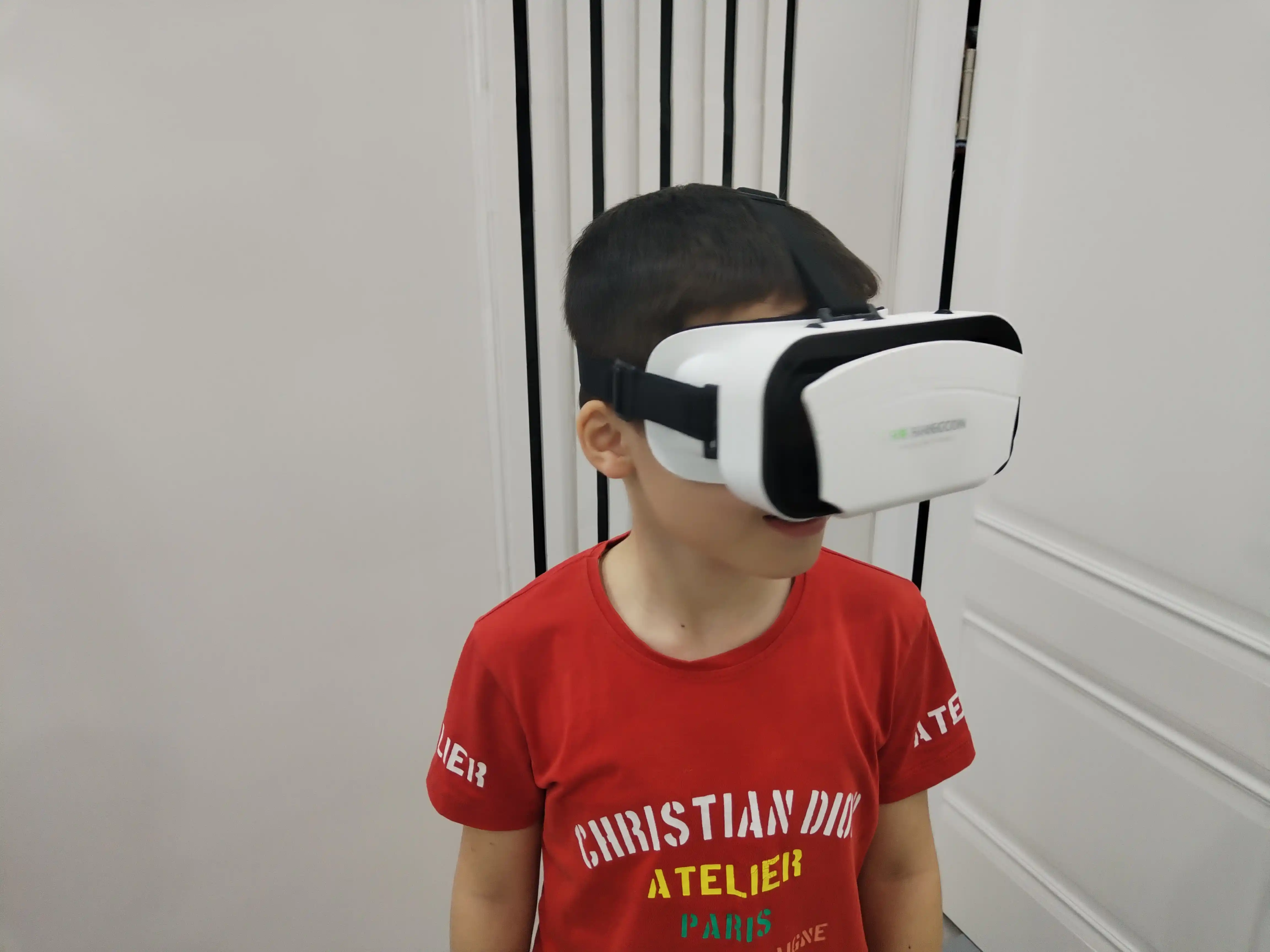 Виртуальные очки VR box Shinecon SC-G12, для смартфонов