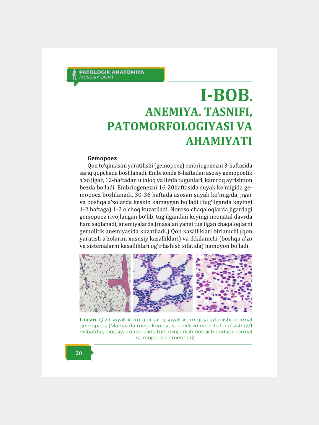 PATOLOGIK ANATOMIYA (xususiy qism), 2-jild — Mamataliyeva M.A., Mamataliyev A.R.