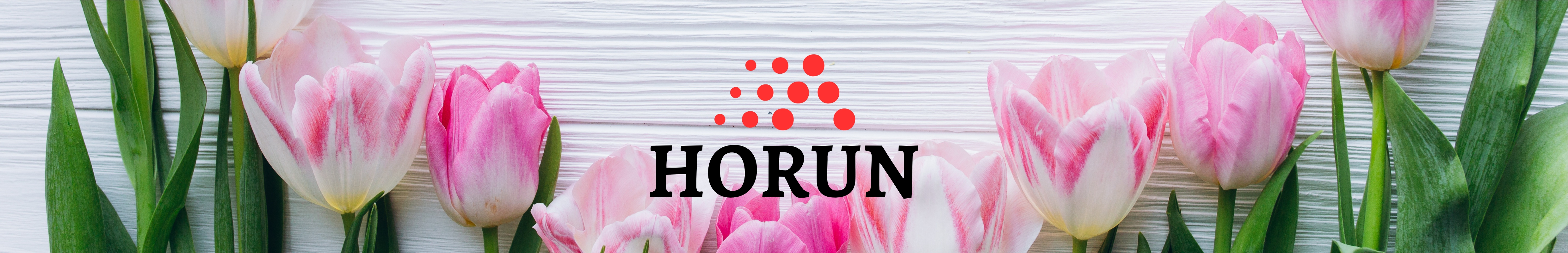 HORUN
