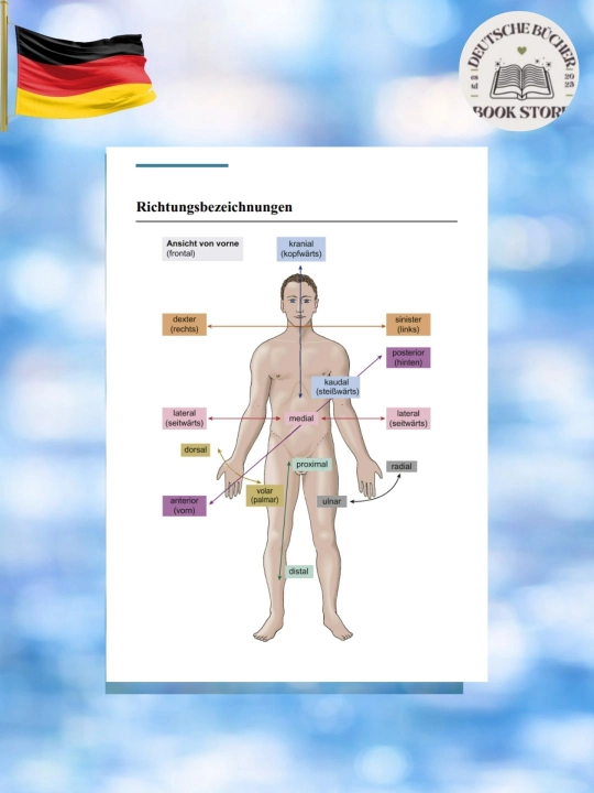 Medizinische Fachwörter A–Z – Медицинский словарь (2 изд.)