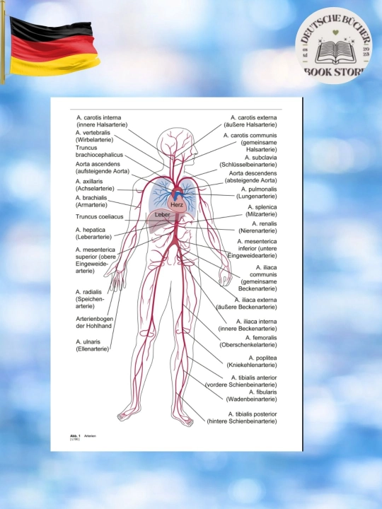 Medizinische Fachwörter A–Z – Медицинский словарь (2 изд.)