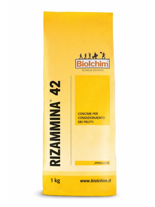 Rizamina 42 – kuchli o‘sish va yuqori hosil