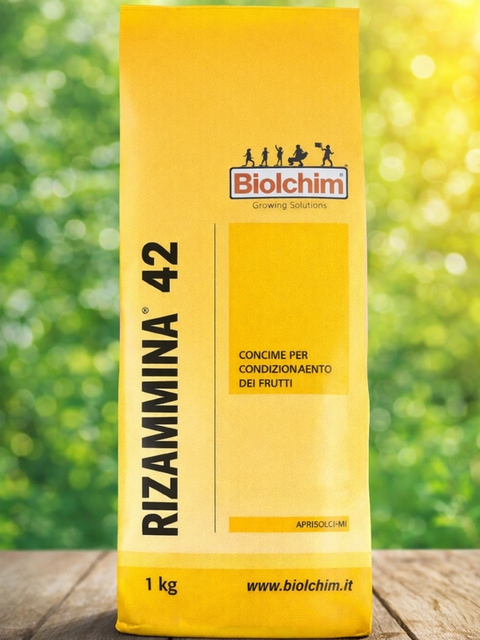 Rizamina 42 – kuchli o‘sish va yuqori hosil