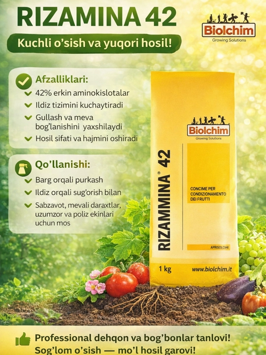 Rizamina 42 – kuchli o‘sish va yuqori hosil