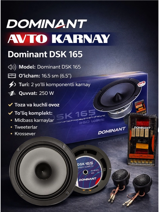 Ikki komponentli DOMINANT DSK165 250W XL AR karnaylari, avtomobil eshiklari uchun kolonka