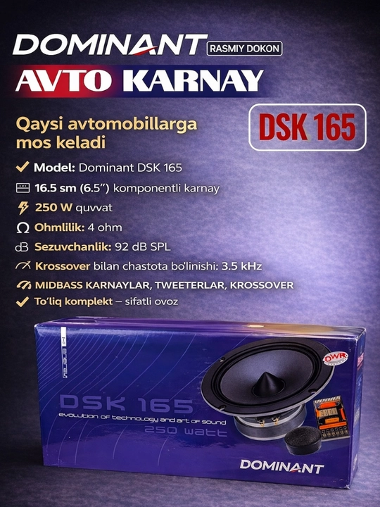 Двухкомпонентные динамики DOMINANT DSK165 250 W XL, колонки для дверей автомобилей AR - 