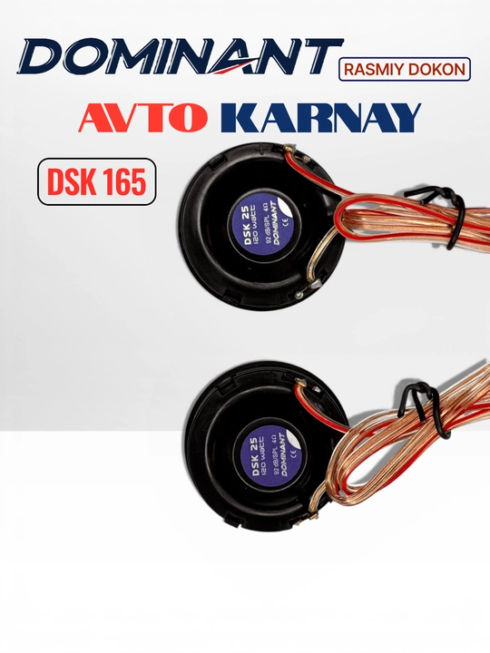Ikki komponentli DOMINANT DSK165 250W XL AR karnaylari, avtomobil eshiklari uchun kolonka