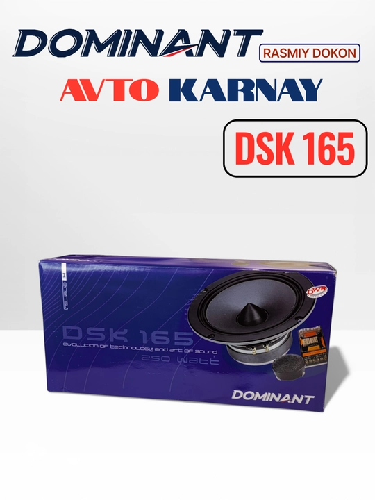 Ikki komponentli DOMINANT DSK165 250W XL AR karnaylari, avtomobil eshiklari uchun kolonka