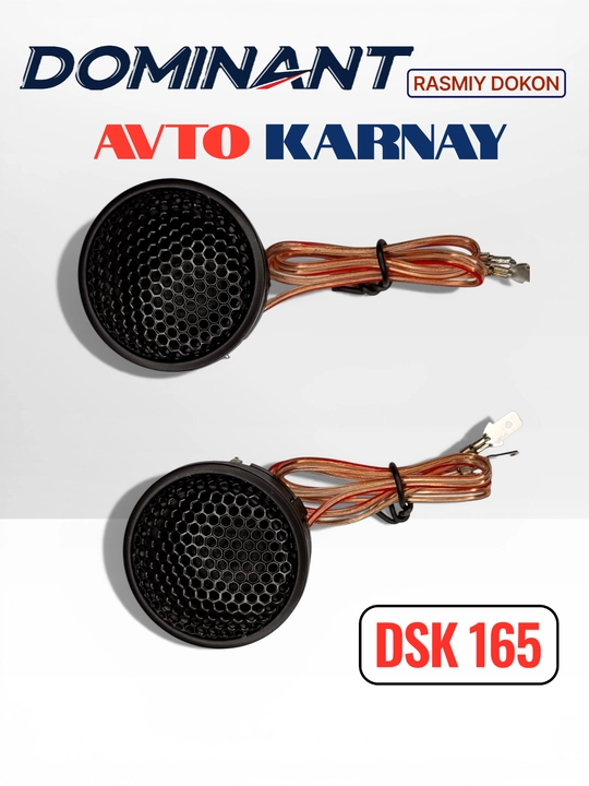 Ikki komponentli DOMINANT DSK165 250W XL AR karnaylari, avtomobil eshiklari uchun kolonka