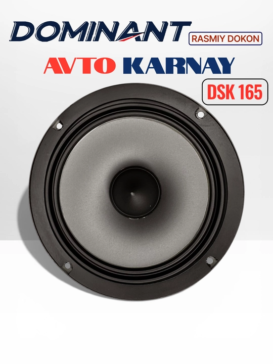 Ikki komponentli DOMINANT DSK165 250W XL AR karnaylari, avtomobil eshiklari uchun kolonka