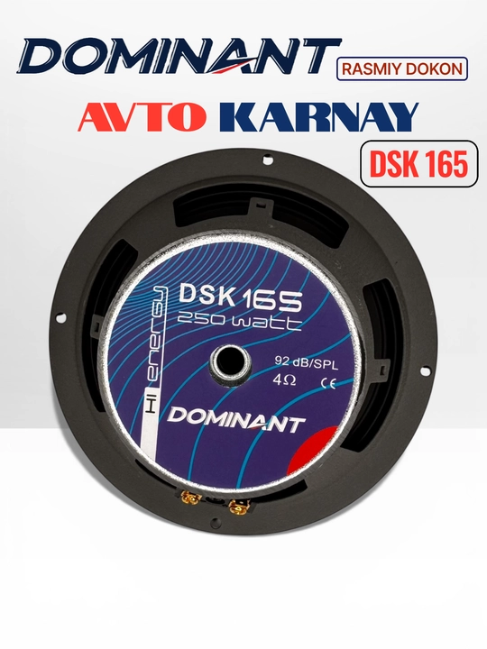 Ikki komponentli DOMINANT DSK165 250W XL AR karnaylari, avtomobil eshiklari uchun kolonka