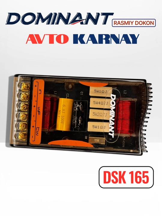 Ikki komponentli DOMINANT DSK165 250W XL AR karnaylari, avtomobil eshiklari uchun kolonka