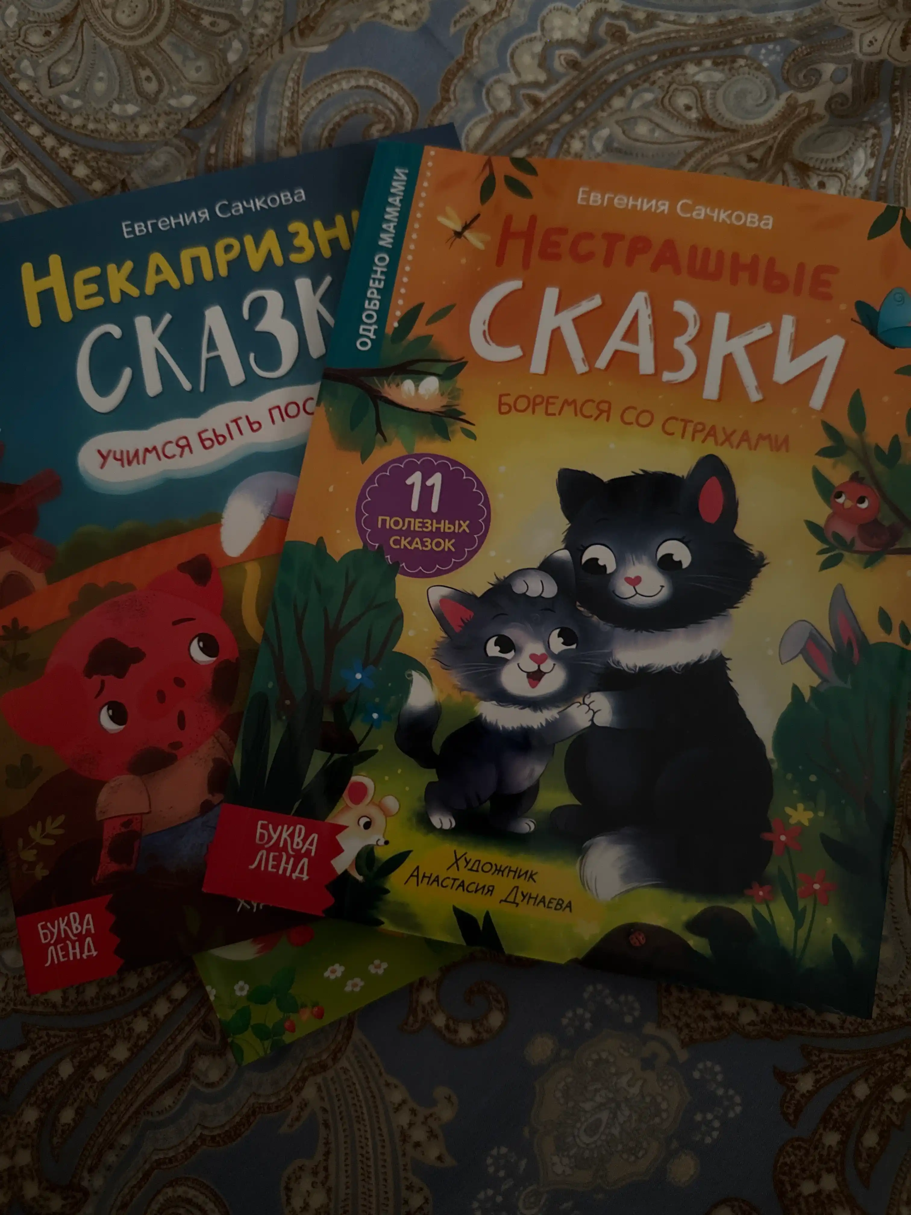 Nestrashnye skazki, Druzhnye skazki. Sachkova Evgeniya