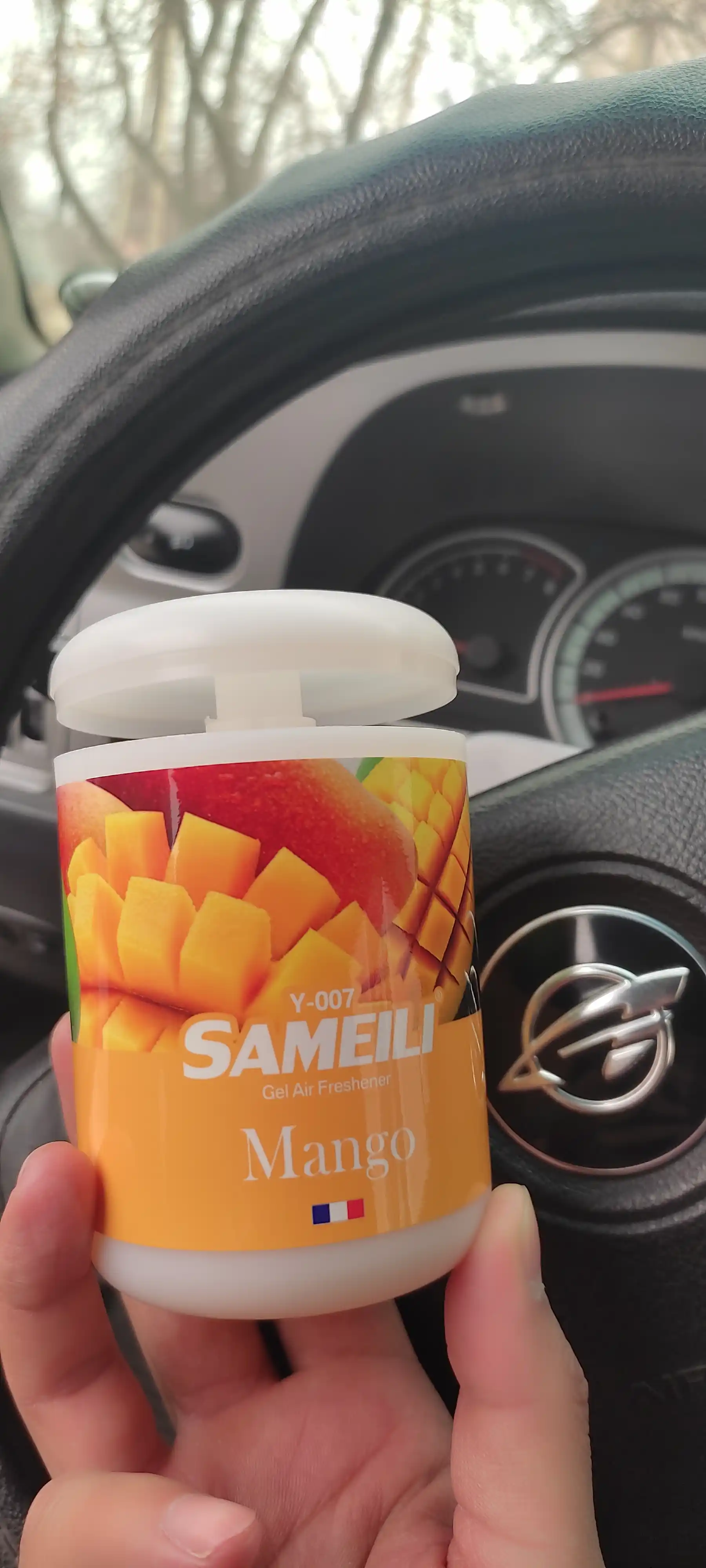 SAMEILI avtomobil uchun gel havo xushbo‘ylantirgichi 200 g, mashina aromatizatori
