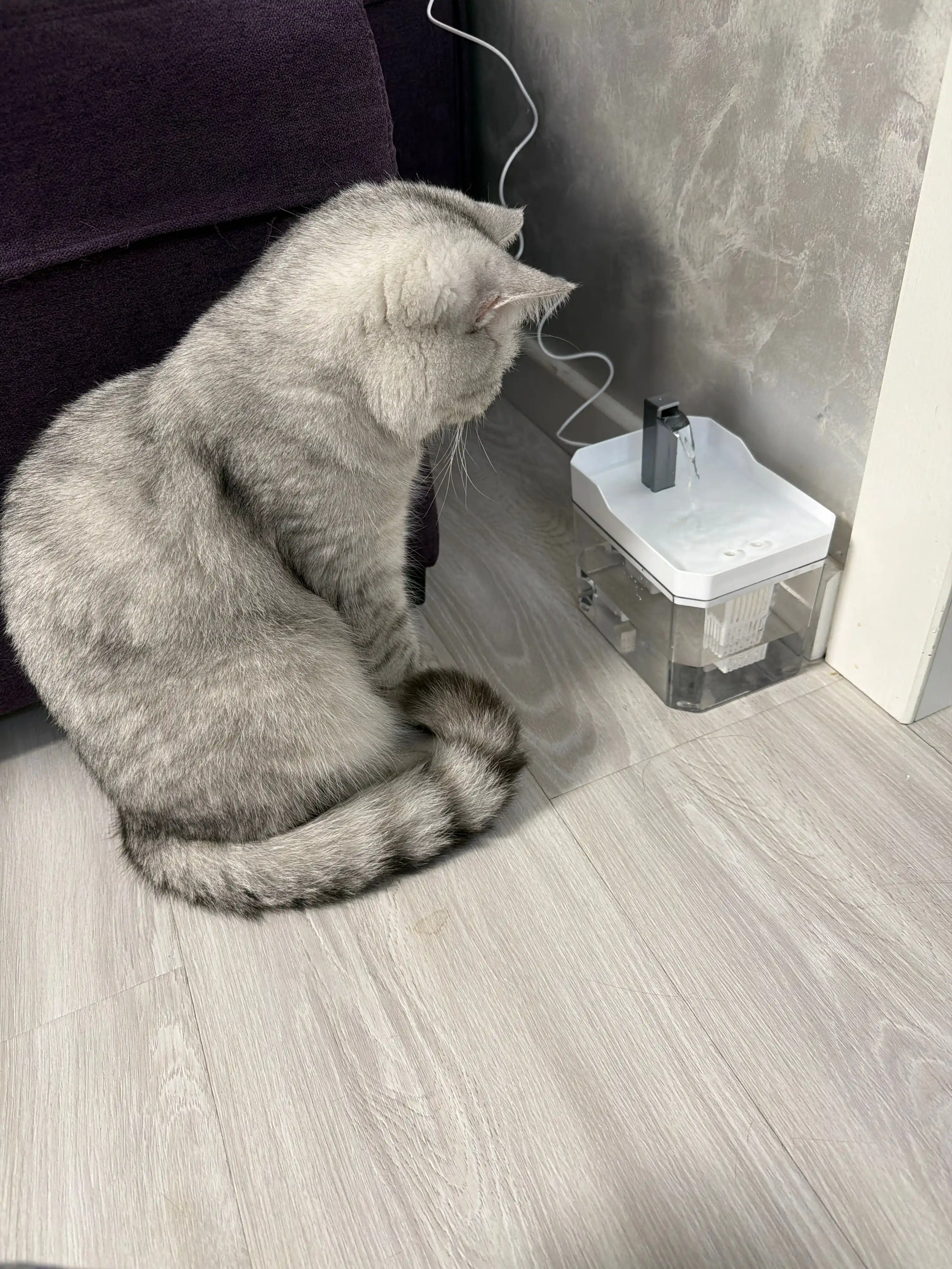 Kichik zotli mushuklar, mushukchalar va itlar uchun favvora, jo‘mrakli, 17x12x13 sm