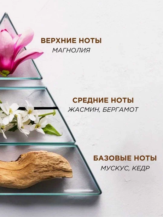 Освежитель воздуха сменный баллон  распыление Symphony Premium Чарующая магнолия 250 мл