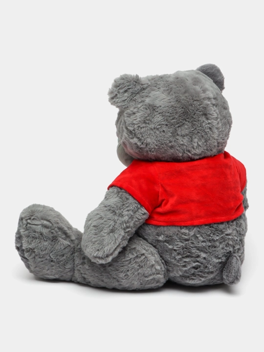 Yumshoq o'yinchoq Teddy ayiq - 