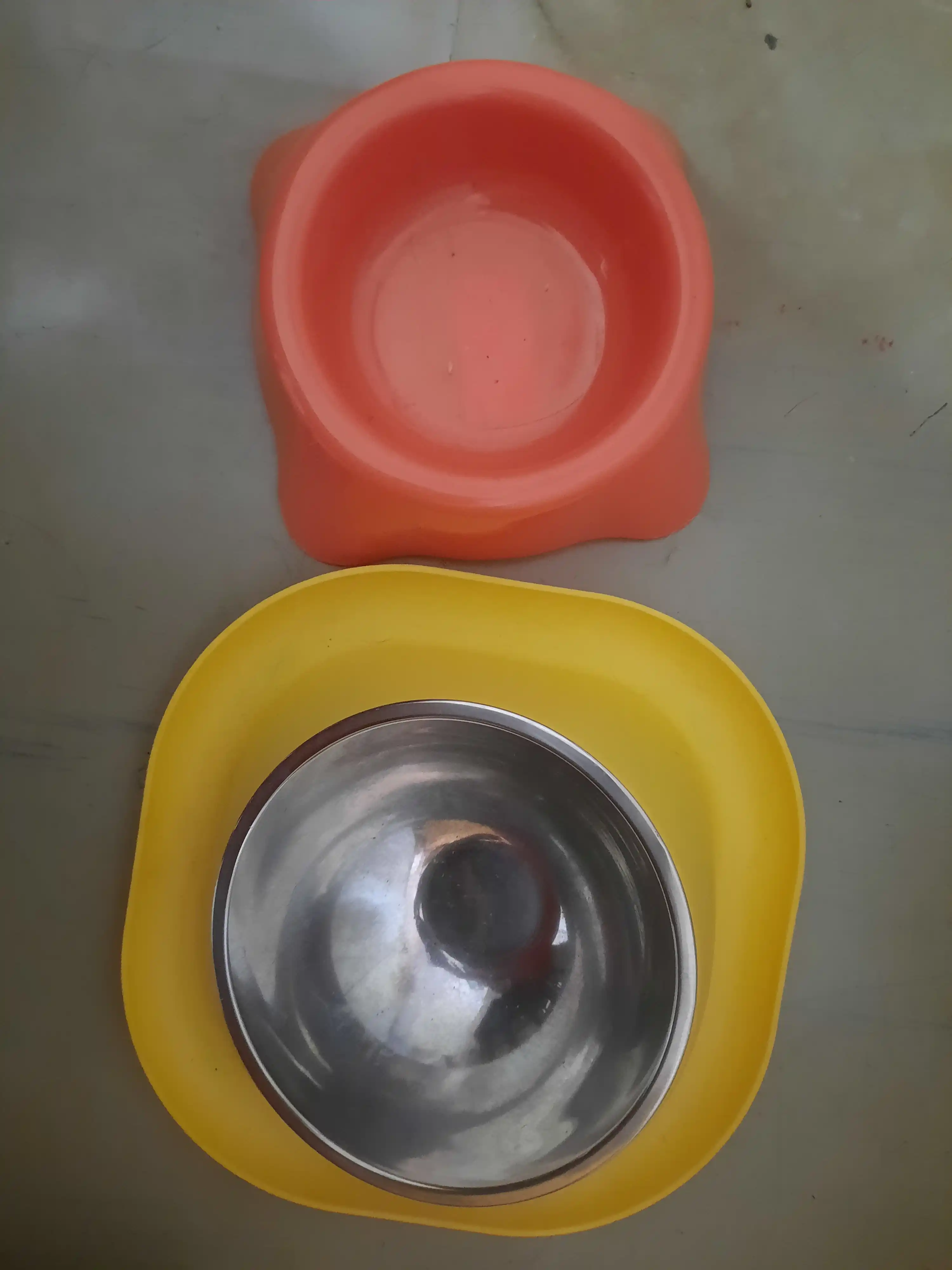 Kichik zotli itlar, Mushuklar va mushukchalar uchun plastik stenddagi metall idish
