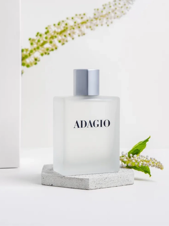 Туалетная вода Dilis Adagio, 100 мл - 
