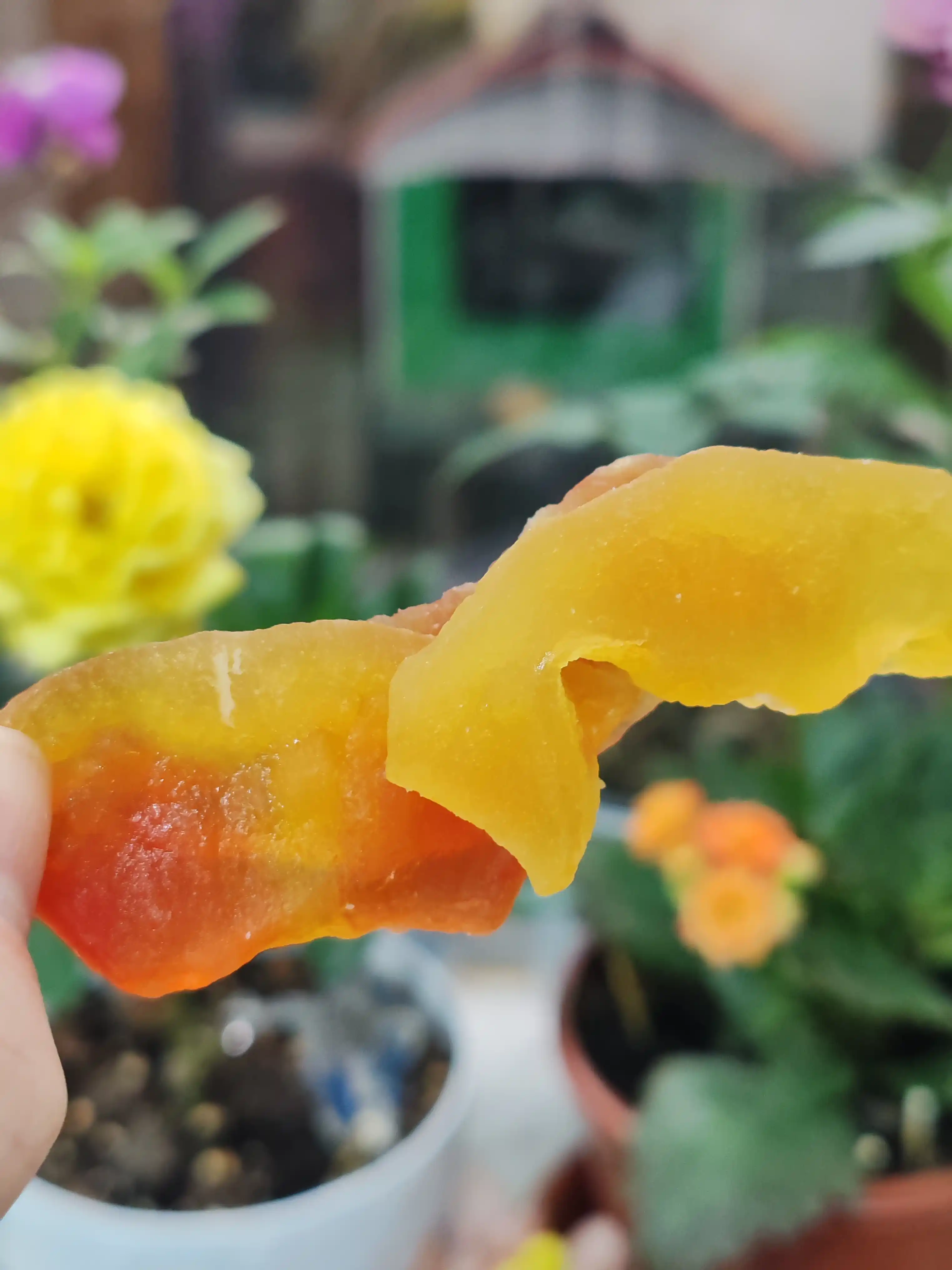 Сушёная папайя, 100 г