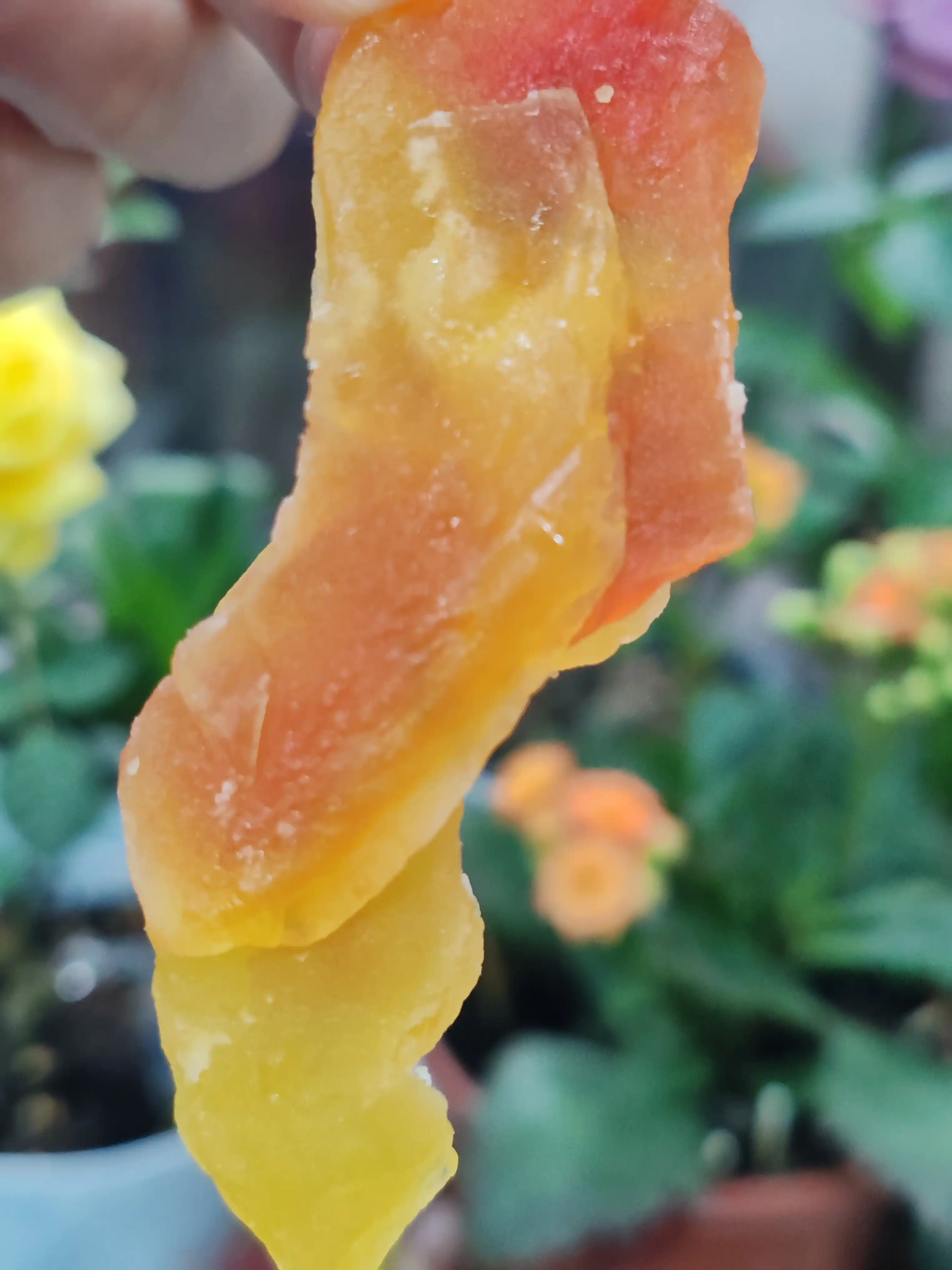 Сушёная папайя, 100 г