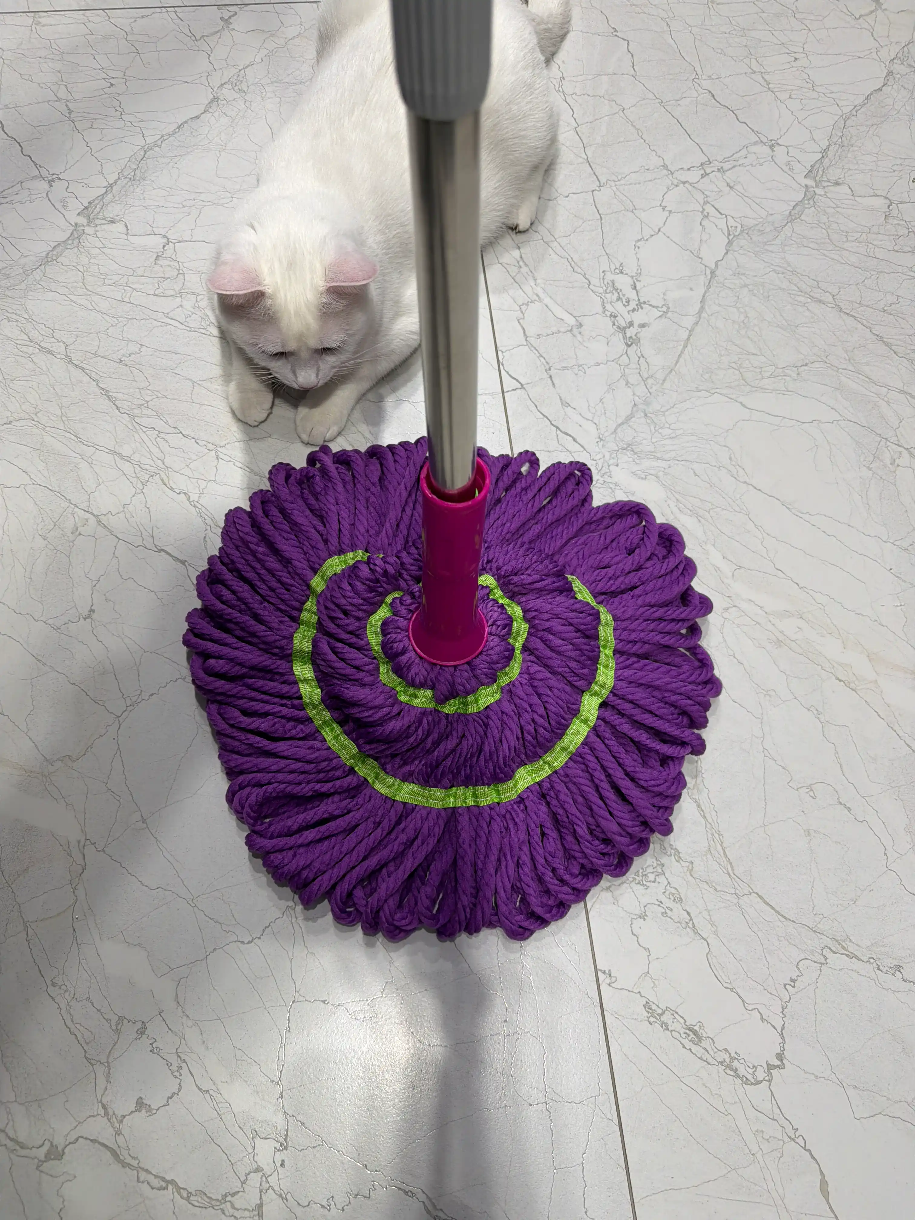 Shvabra