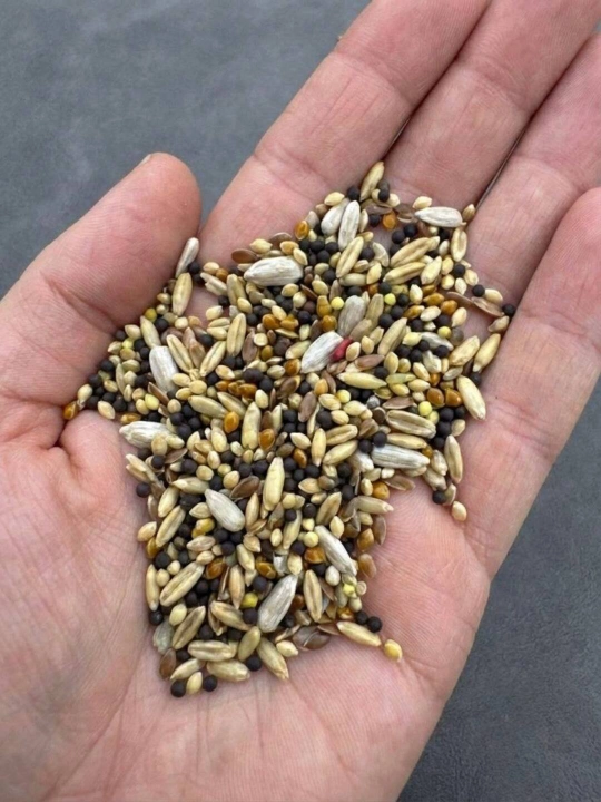 Витаминизированный корм для канареек ZAB SEED 1 с фруктами и кальцием, 450 г