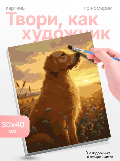 Картина, рисование по номерам Skystore, ивотные, холст на подрамнике, 30x40 см — SKYST0R-JIVOTN8-КОНФЕТН